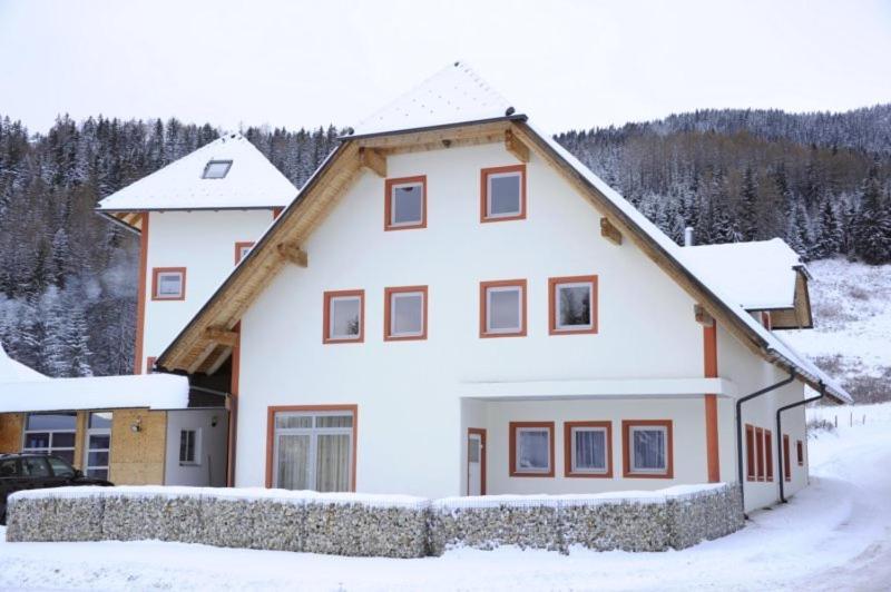 Appartementhaus Hochegg Apartment